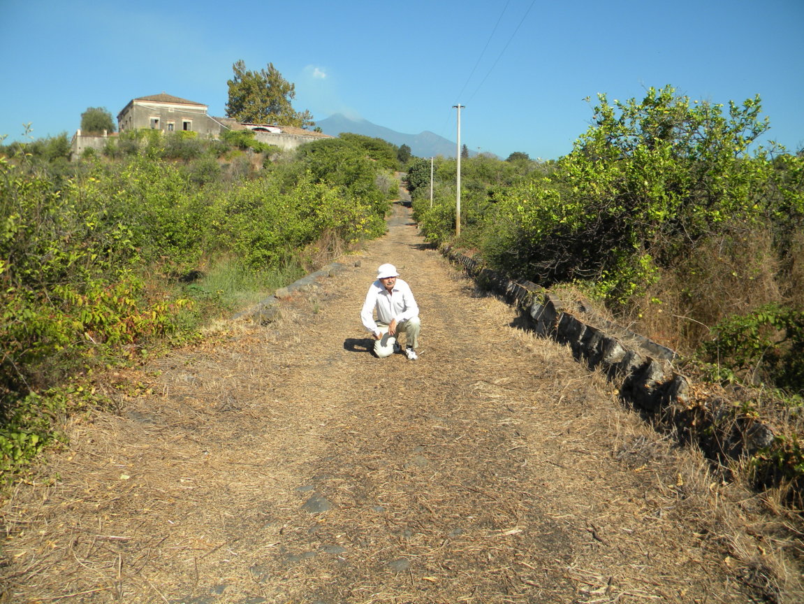 DSCN8167 .JPG
